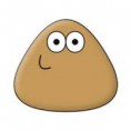 Pou 